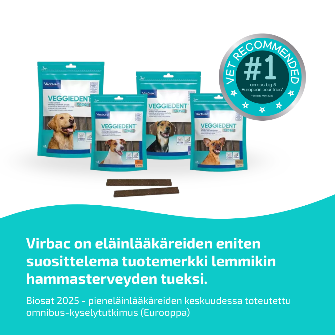 Virbac VeggieDent purupalat koiralle 5-10 kg