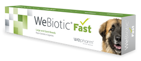 Wepharm WeBiotic Fast oraalipasta koiralle ja kissalle