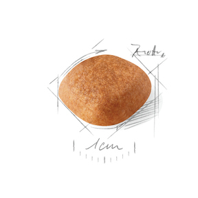 Royal Canin West Highland White Terrier koiralle 3 kg