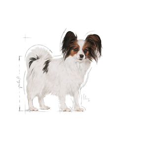 Royal Canin X-Small Adult koiralle
