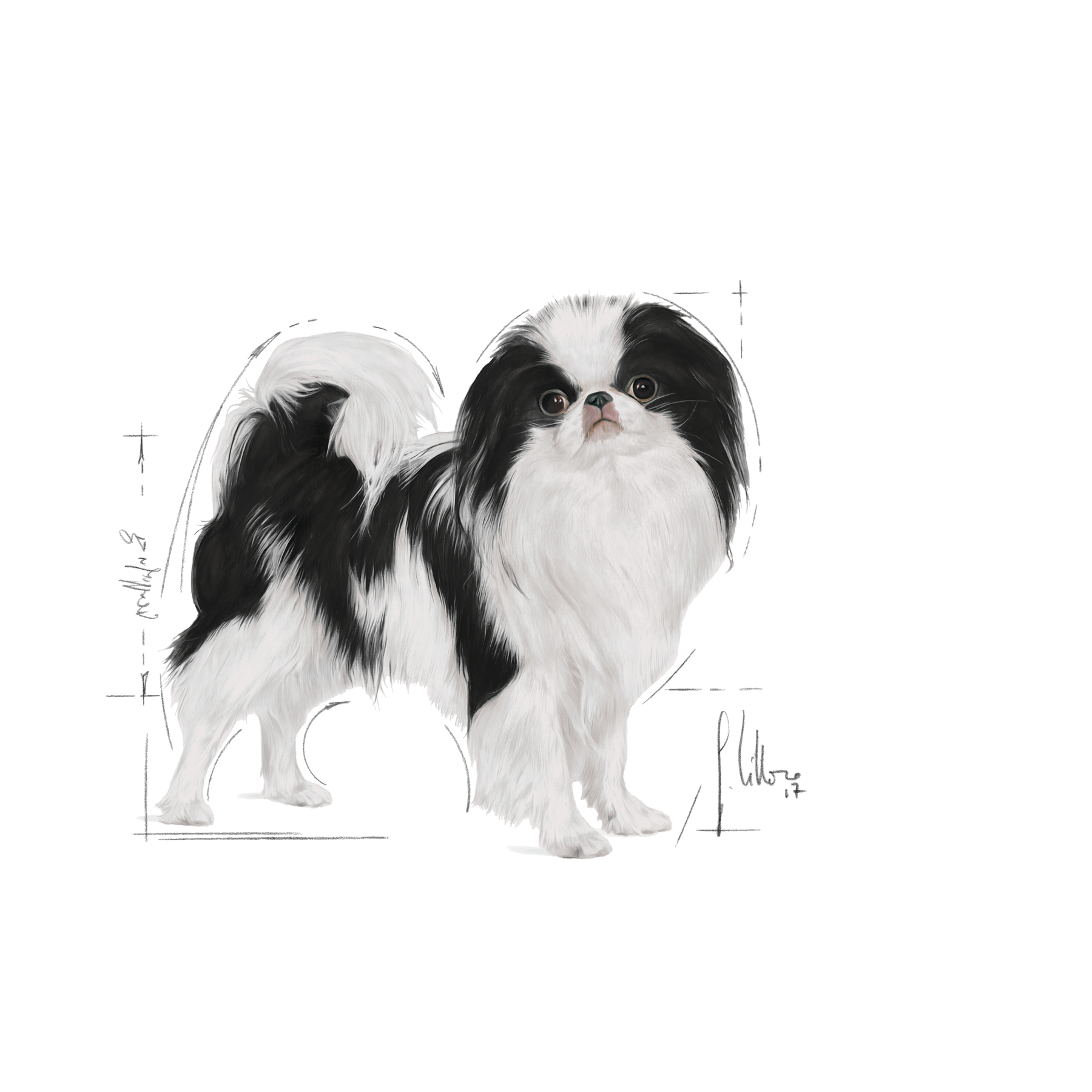 Royal Canin Sterilised X-Small koiralle 1,5 kg