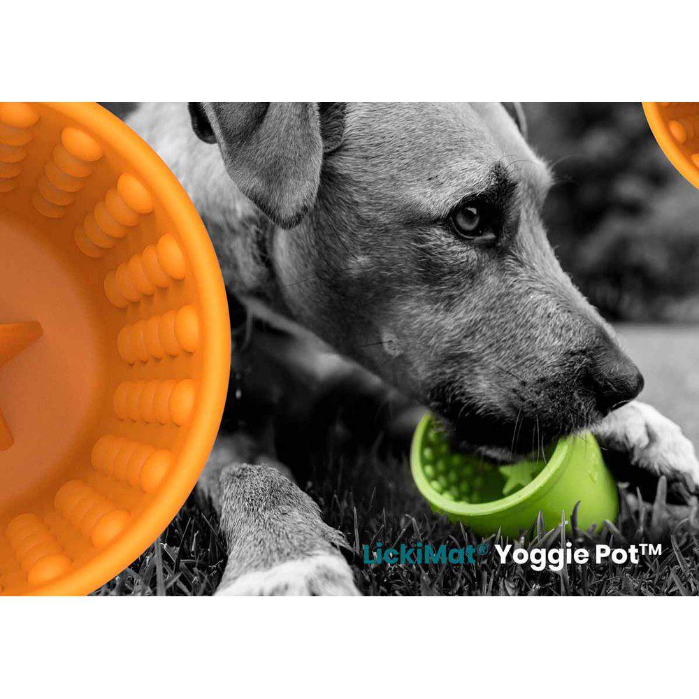 Lickimat Yoggie Pot aktivointikuppi koiralle