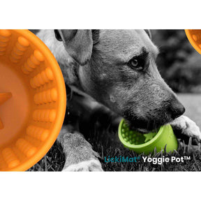 Lickimat Yoggie Pot aktivointikuppi koiralle