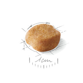 Royal Canin Yorkshire Terrier Adult koiralle 7,5 kg