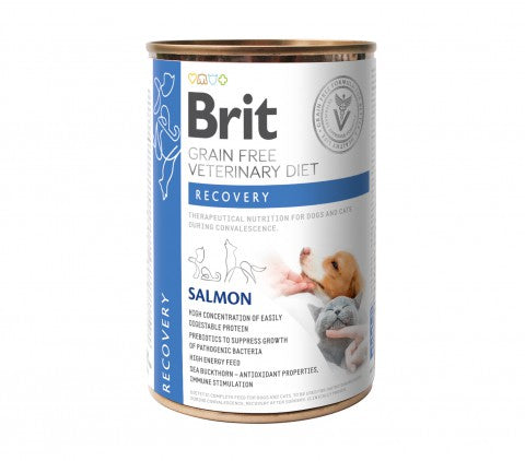Brit Veterinary Diet Recovery Salmon märkäruoka kissalle ja koiralle 6 x 400 g