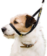 Canny Collar vedonestopanta musta 1