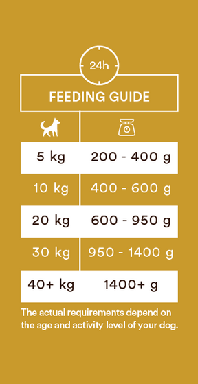 Monster Dog Adult Single Protein Chicken koiralle 400 g MAISTELUPAKKAUS