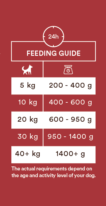 Monster Dog Adult Single Protein Beef koiralle 400 g MAISTELUPAKKAUS