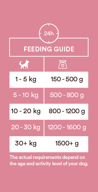 Monster Dog Puppy Chicken-Beef koiralle 400 g MAISTELUPAKKAUS