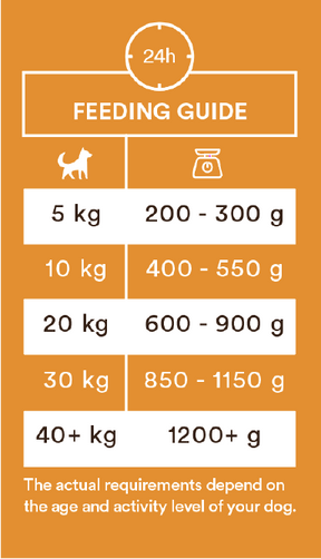 Monster Dog Adult Single Protein Duck koiralle 6 x 400 g
