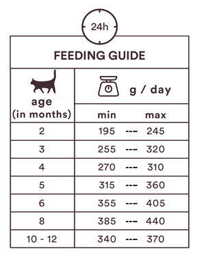 Monster Cat Pouches Kitten Chicken-Turkey kissalle 85 g MAISTELUPAKKAUS