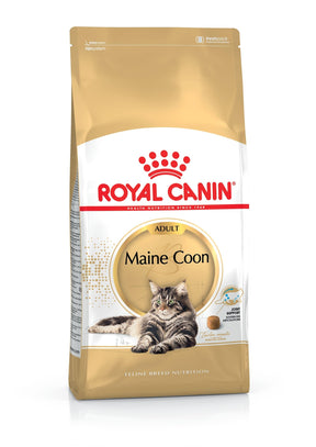 Royal Canin Maine Coon Adult kissalle