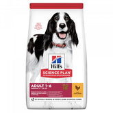 Hill's SP Adult Medium with Chicken koiralle 2,5 kg