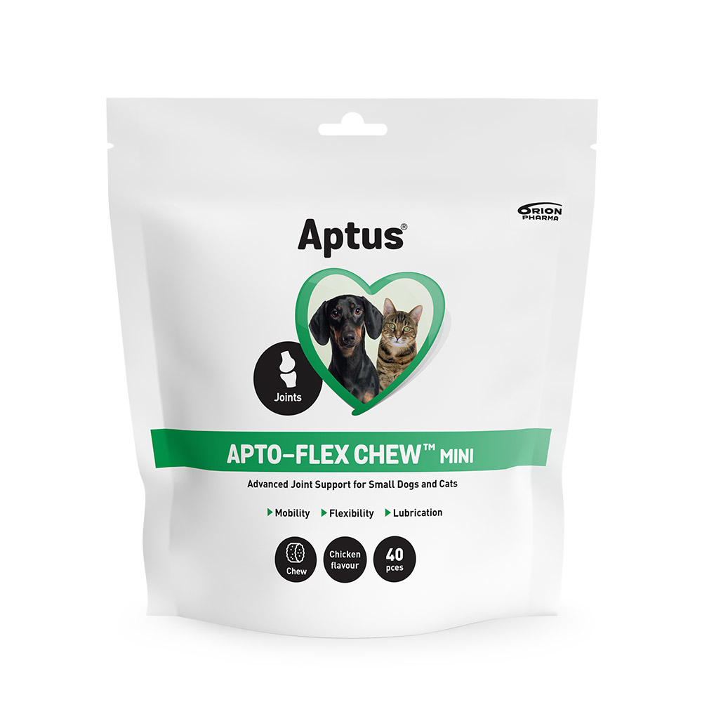 Aptus Apto-Flex Chew Mini 40 purutablettia