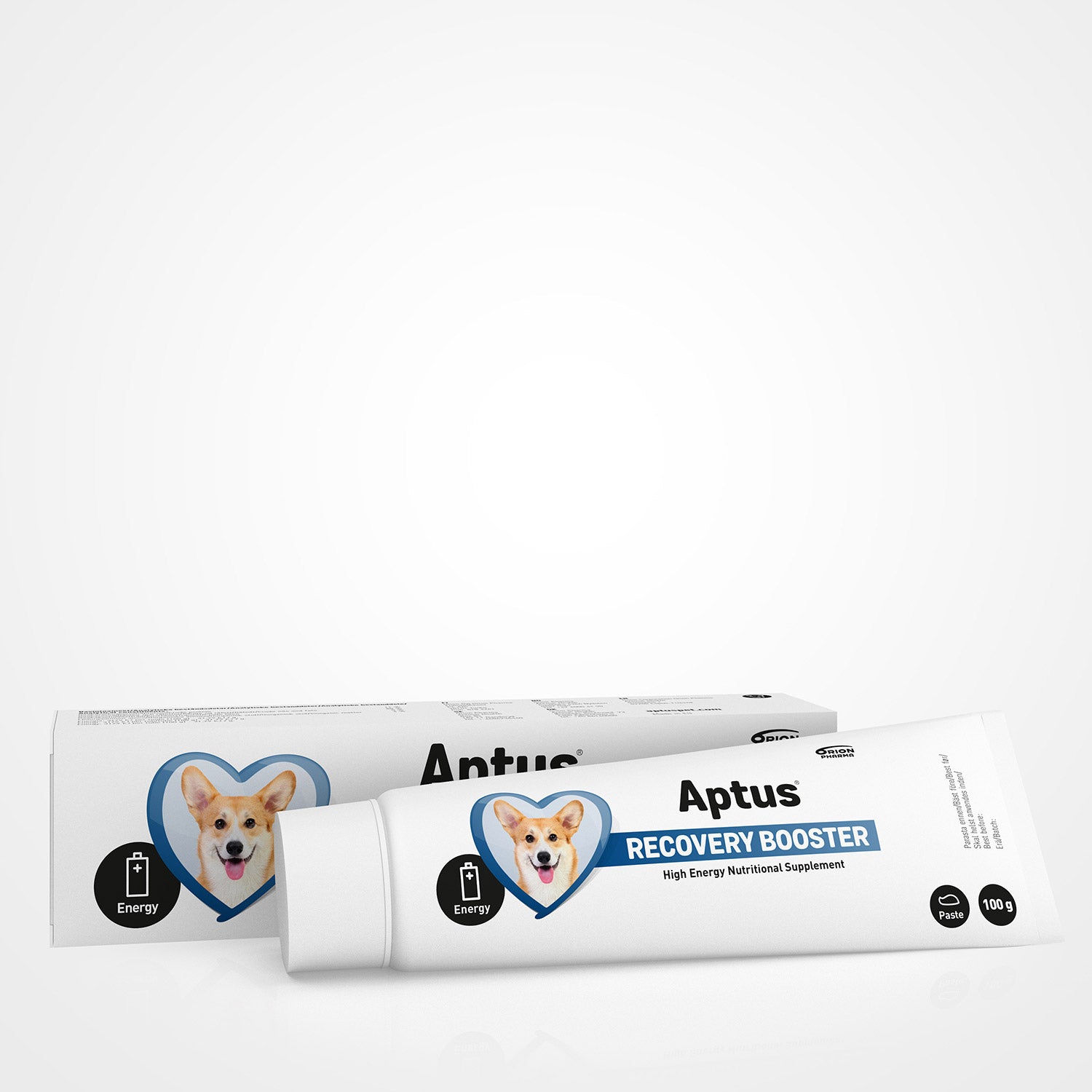 Aptus Recobooster koiralle 100 g