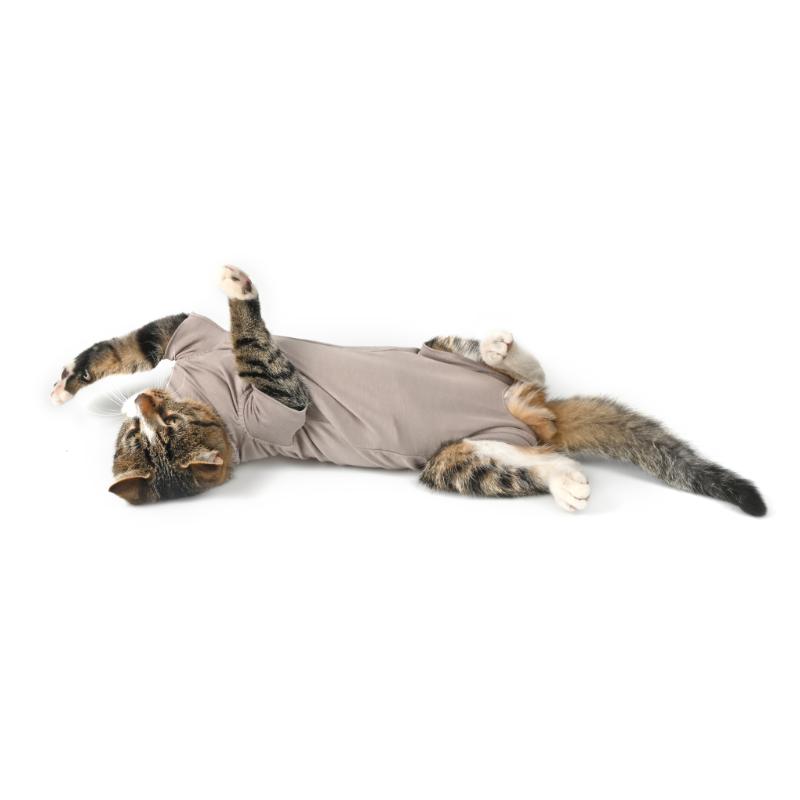 Buster Body suit Step'n go suojabody kissoille