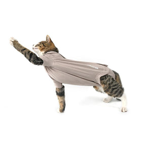 Buster Body suit Step'n go suojabody kissoille