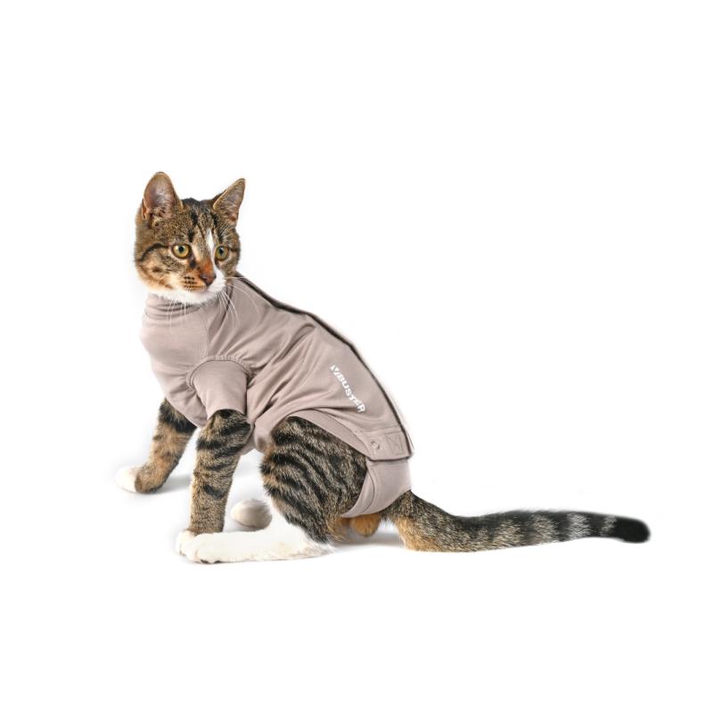 Buster Body suit Step'n go suojabody kissoille