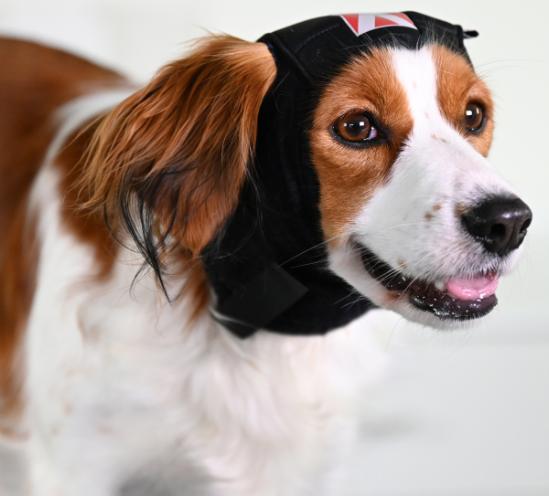 Buster Ear Cover korvasuoja koiralle XXL