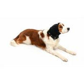 Buster Ear Cover korvasuoja koiralle L