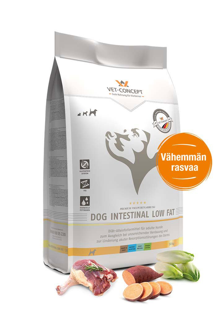 Vet Concept Dog Intestinal Low Fat koiralle 10 kg RIKKOONTUNUT