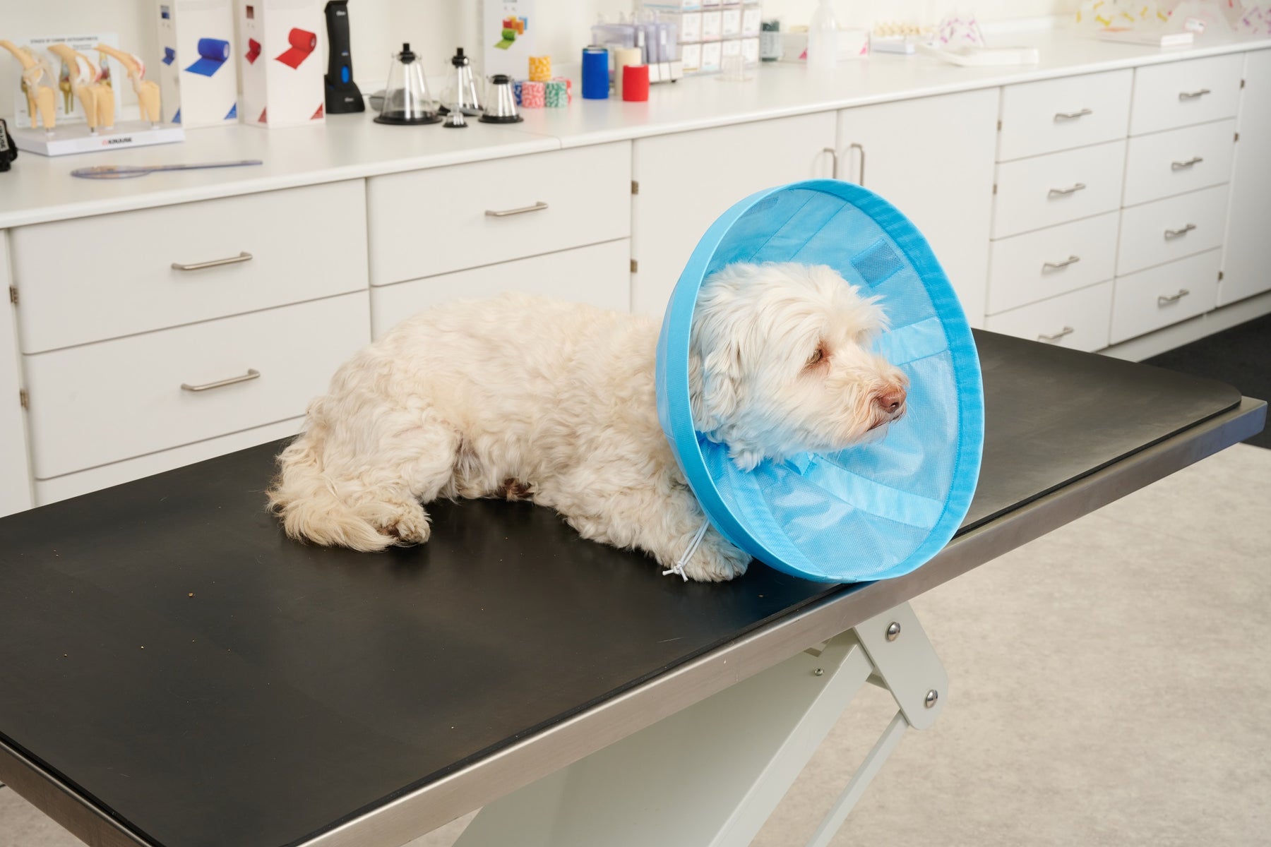 Buster Soft Flex pehmokauluri 7,5 cm