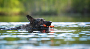 D&C VEPE patukka kelluva kapea 6 x 40 cm