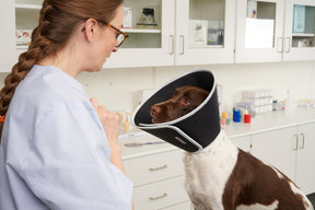 Buster Foam pehmokauluri 20 cm