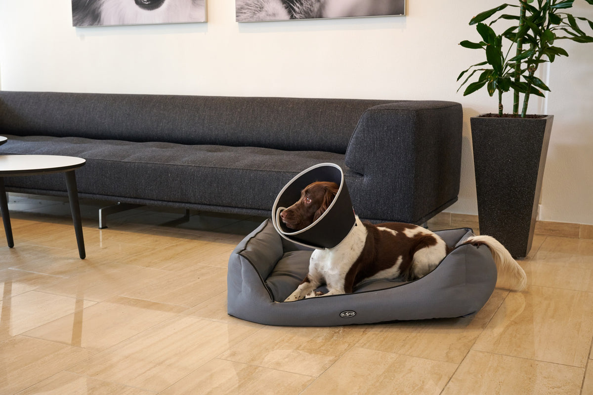 Buster Foam pehmokauluri