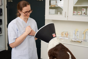 Buster Foam pehmokauluri 12,5 cm