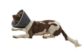 Buster Foam pehmokauluri 30 cm