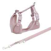 Trixie Junior valjas + talutin S-M lila