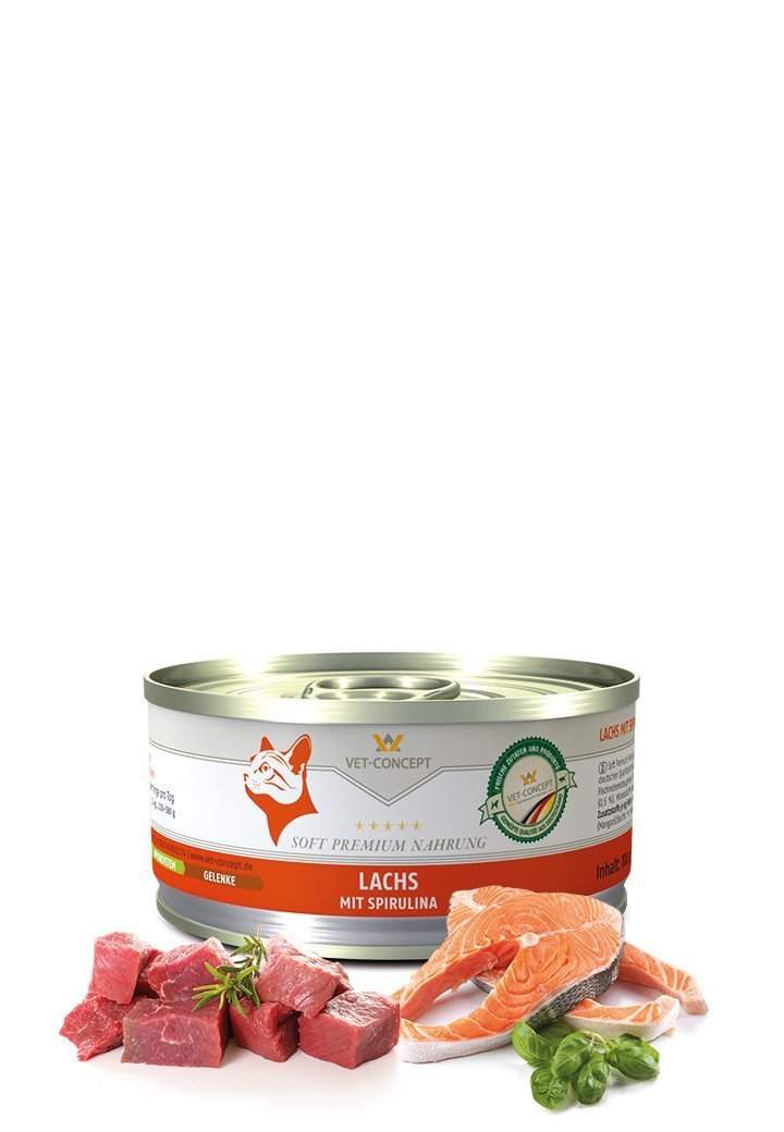 Vet Concept Kissamenu Lachs Lohi 6 x 100 g