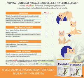 Flexadin advanced kissalle 2 x 30 purutablettia TUPLAPAKKAUS