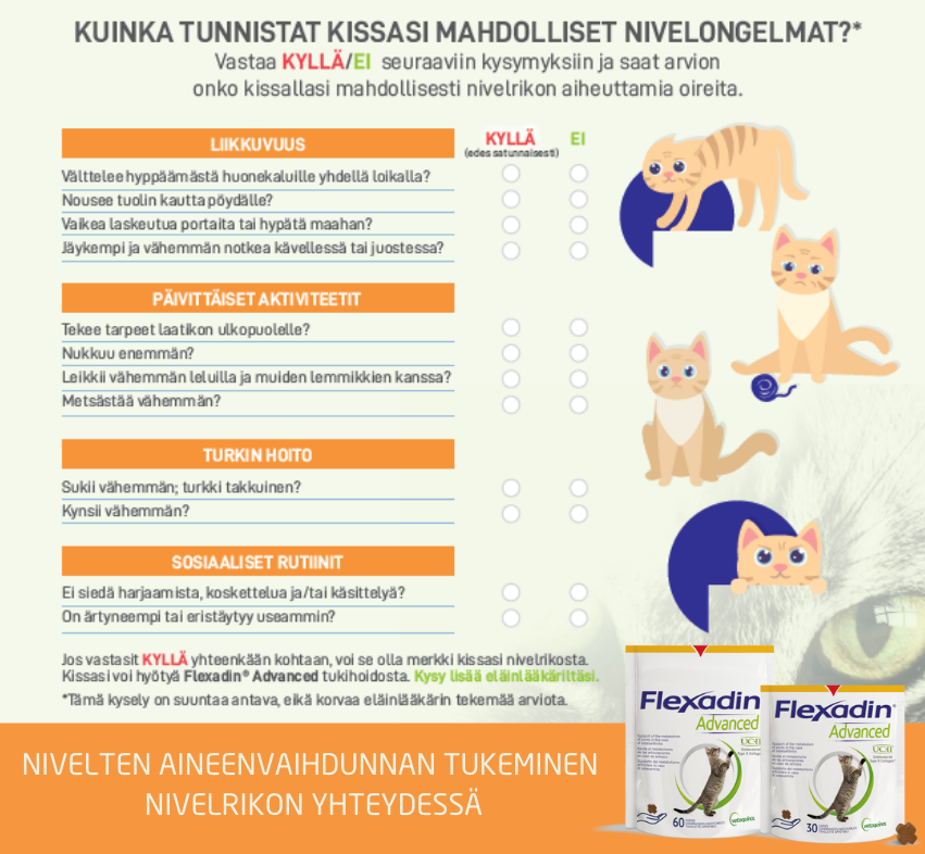 Flexadin advanced kissalle 2 x 30 purutablettia TUPLAPAKKAUS