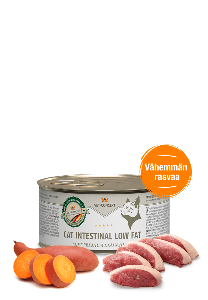 Vet Concept Kissamenu Intestinal Low Fat 6 x 200 g