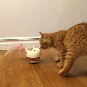 Catstages Cat Hunt'n Swat Treat Tumbler kissanlelu