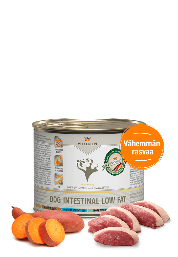 Vet Concept Koiramenu Intestinal Low Fat 6 x 200 g