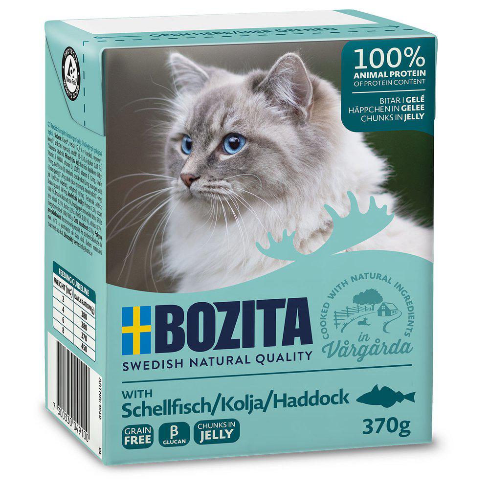 Bozita koljaa hyytelössä kissalle