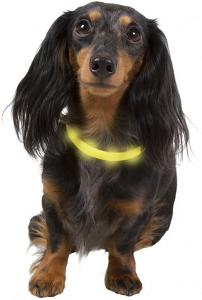 Best Friend Gear LED valopanta 70 cm säädettävä