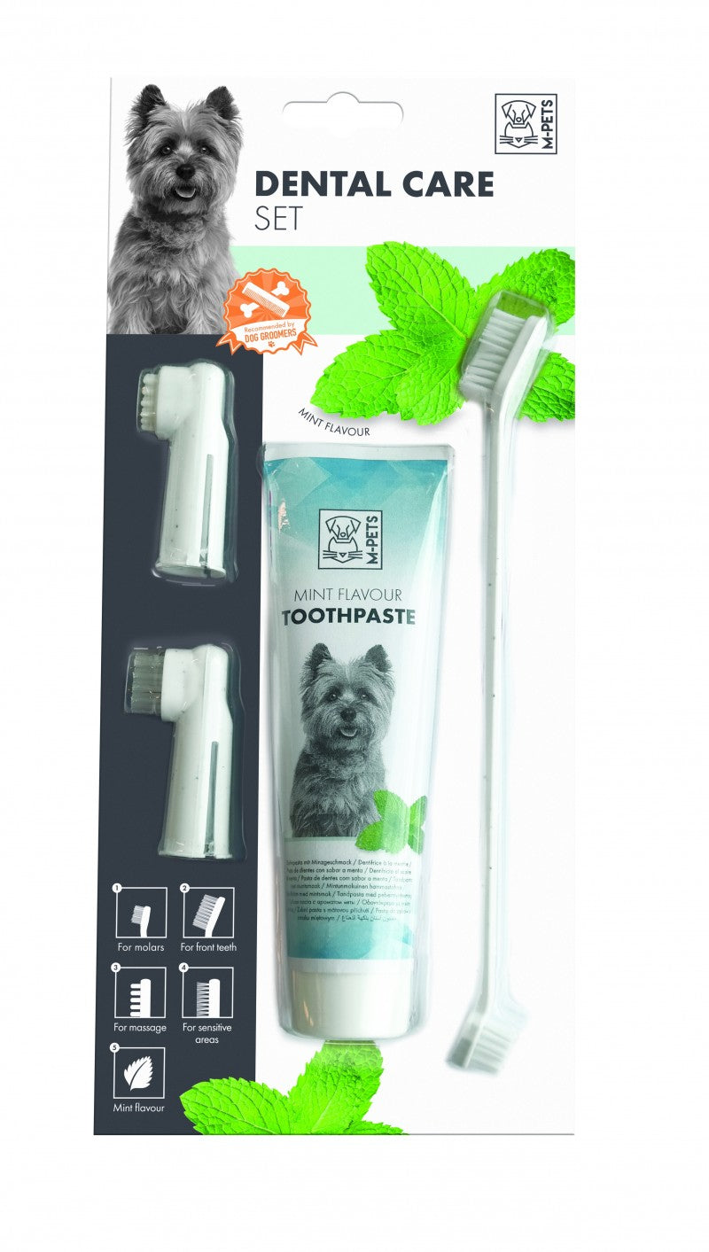 M-PETS Hammashoitosetti