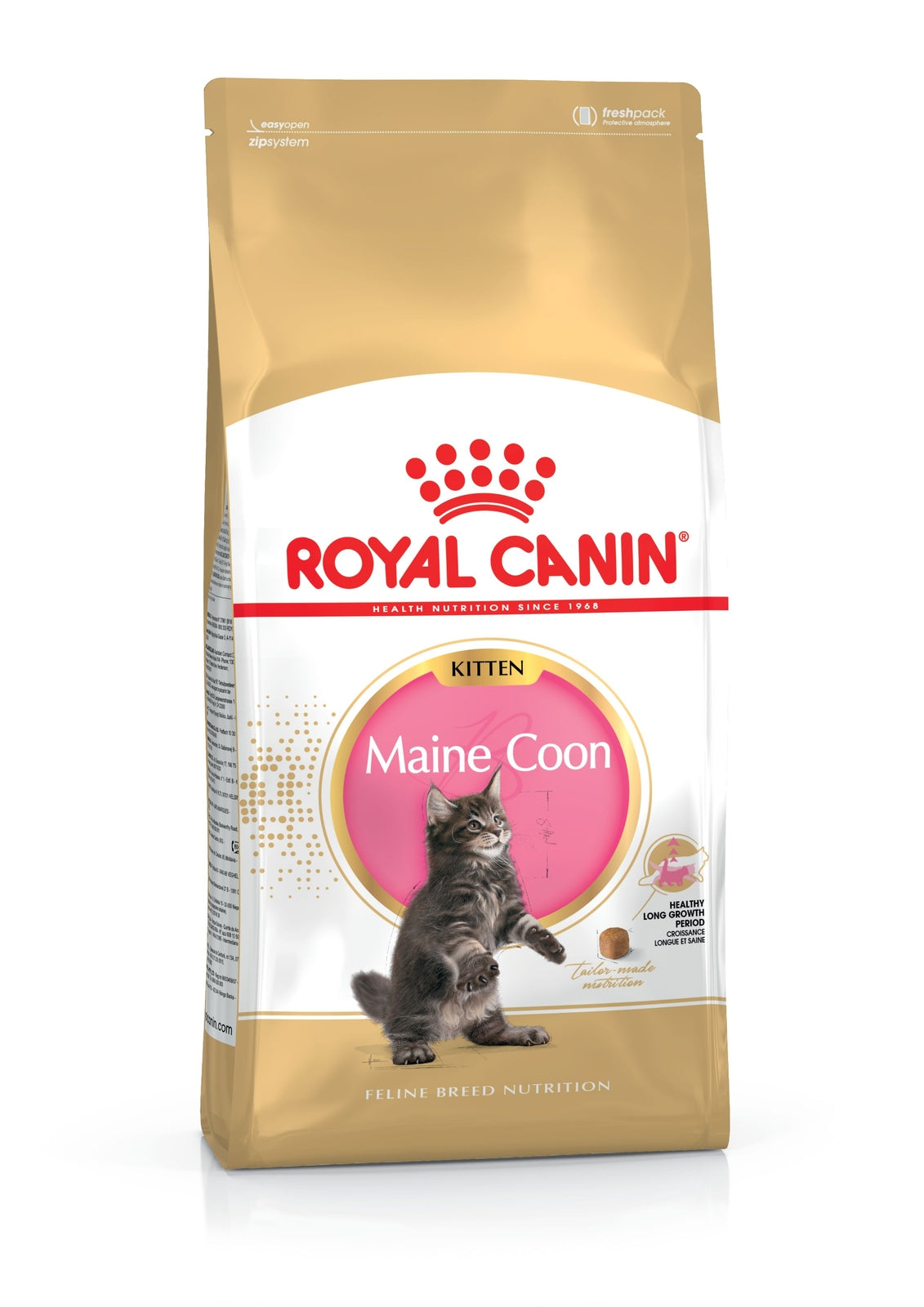 Royal Canin Maine Coon Kitten kissalle