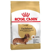 Royal Canin Dachshund Adult koiralle