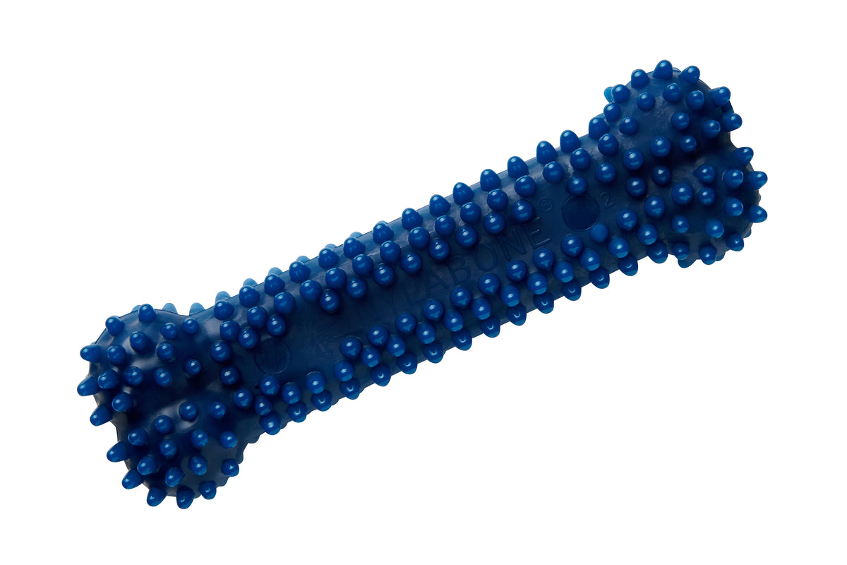 Nylabone Moderate Dental Chew purulelu kana