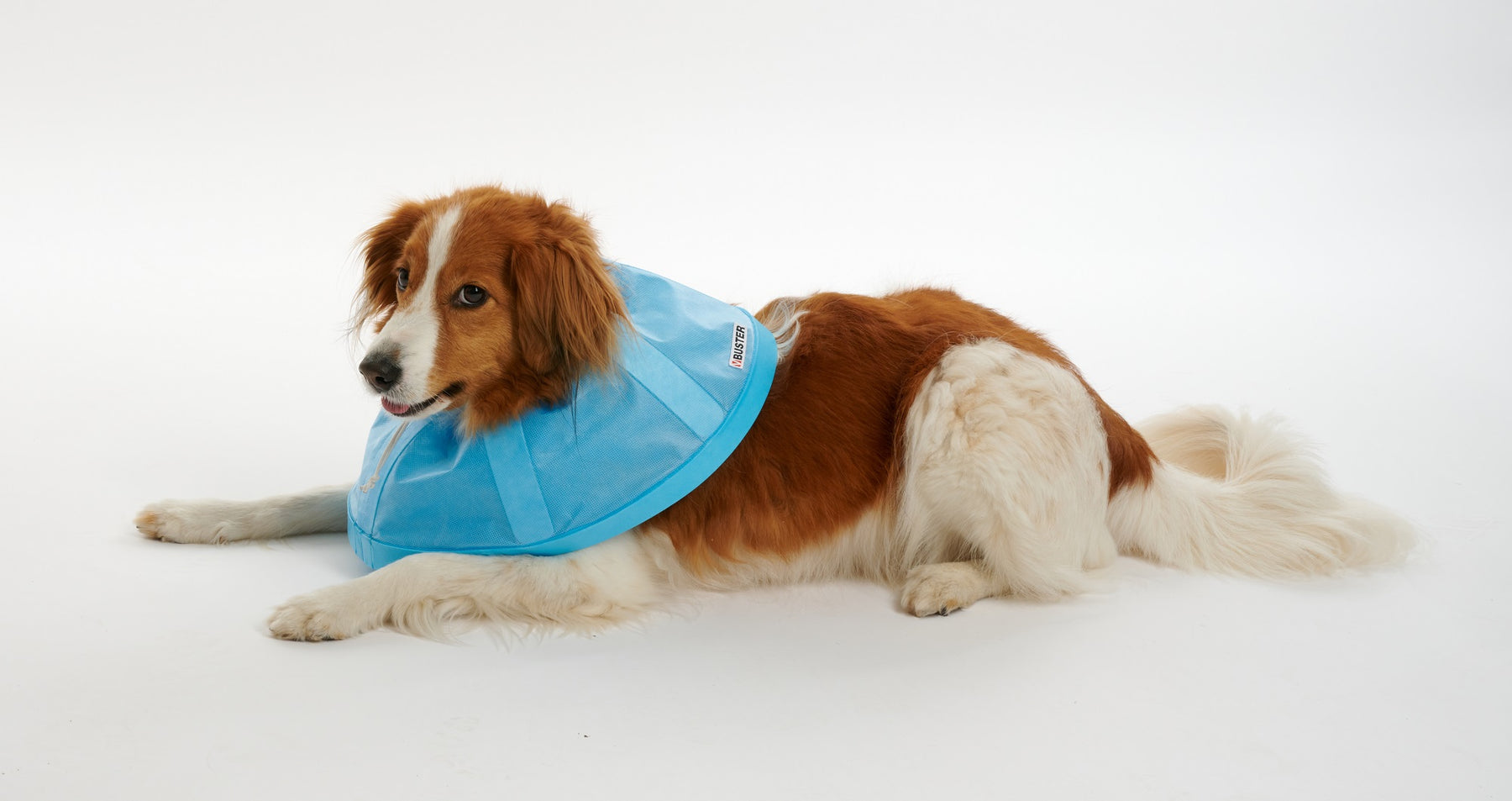 Buster Soft Flex pehmokauluri 7,5 cm