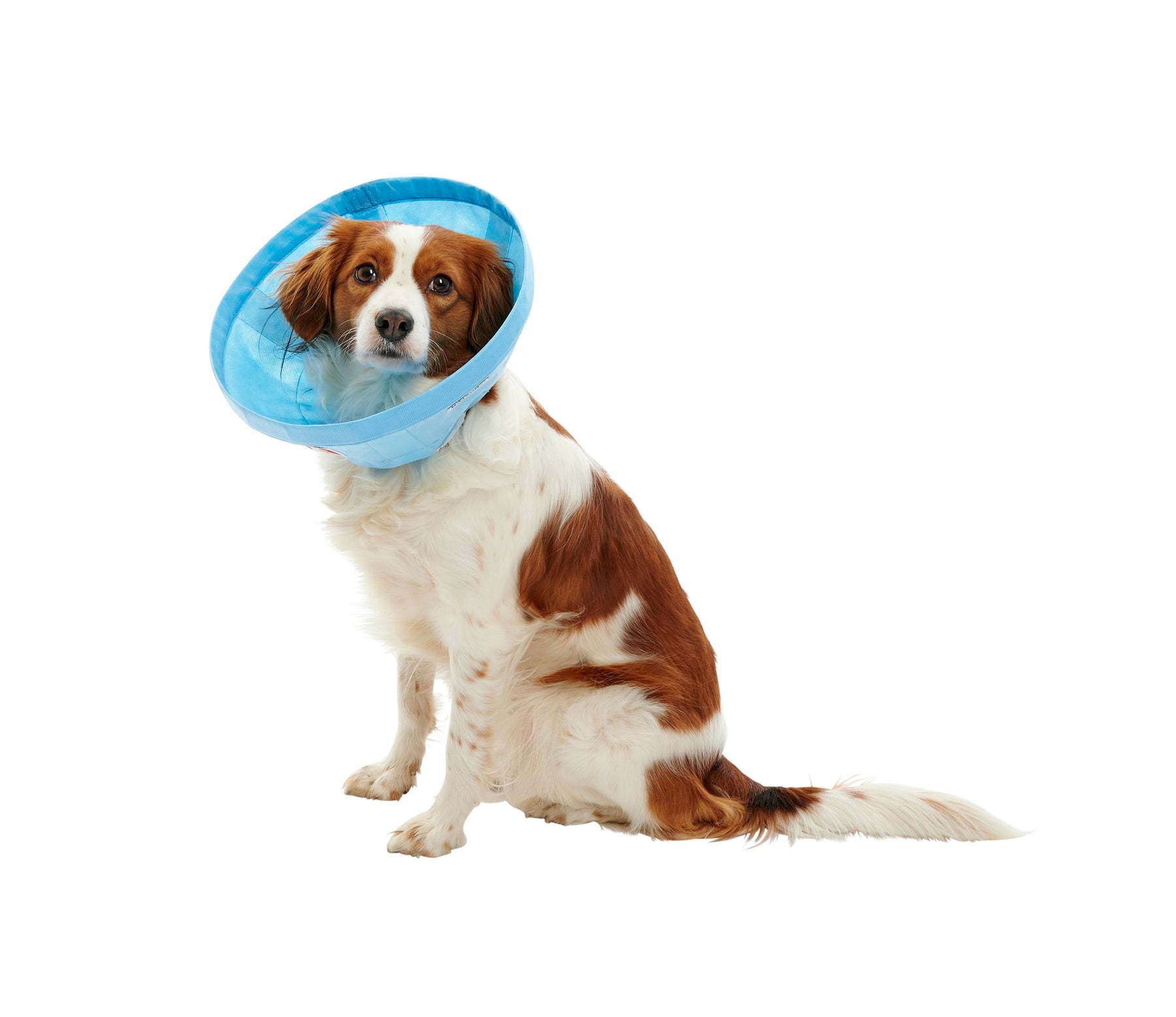 Buster Soft Flex pehmokauluri 7,5 cm