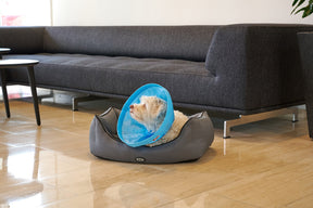 Buster Soft Flex pehmokauluri 7,5 cm