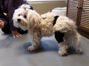 Taituki Polvituki vasen takajalka M