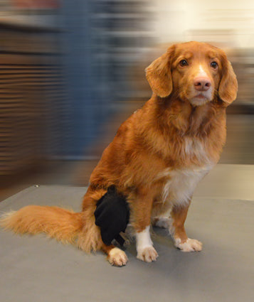 Taituki Polvituki oikea takajalka L