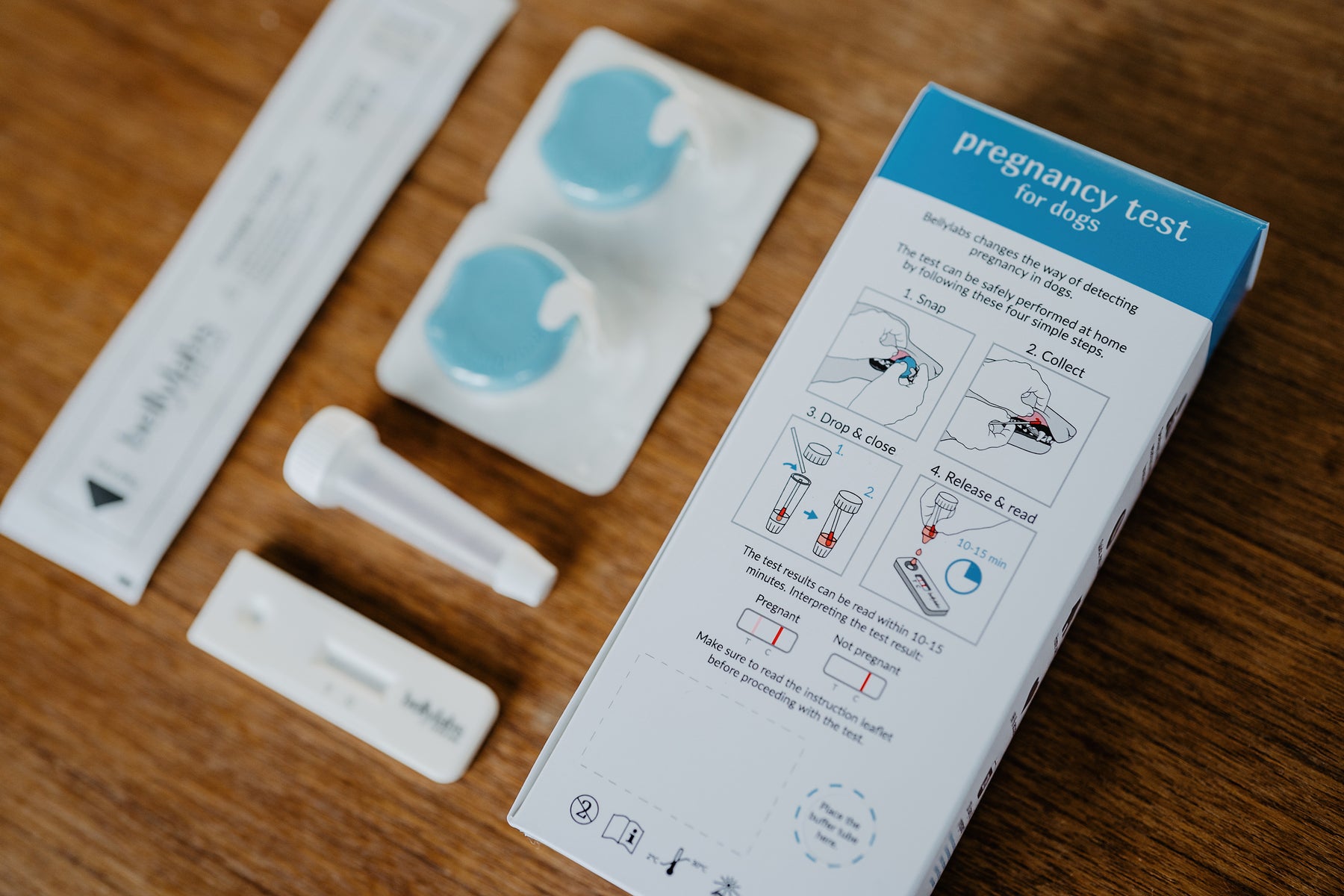 Bellylabs tiineystesti koiralle